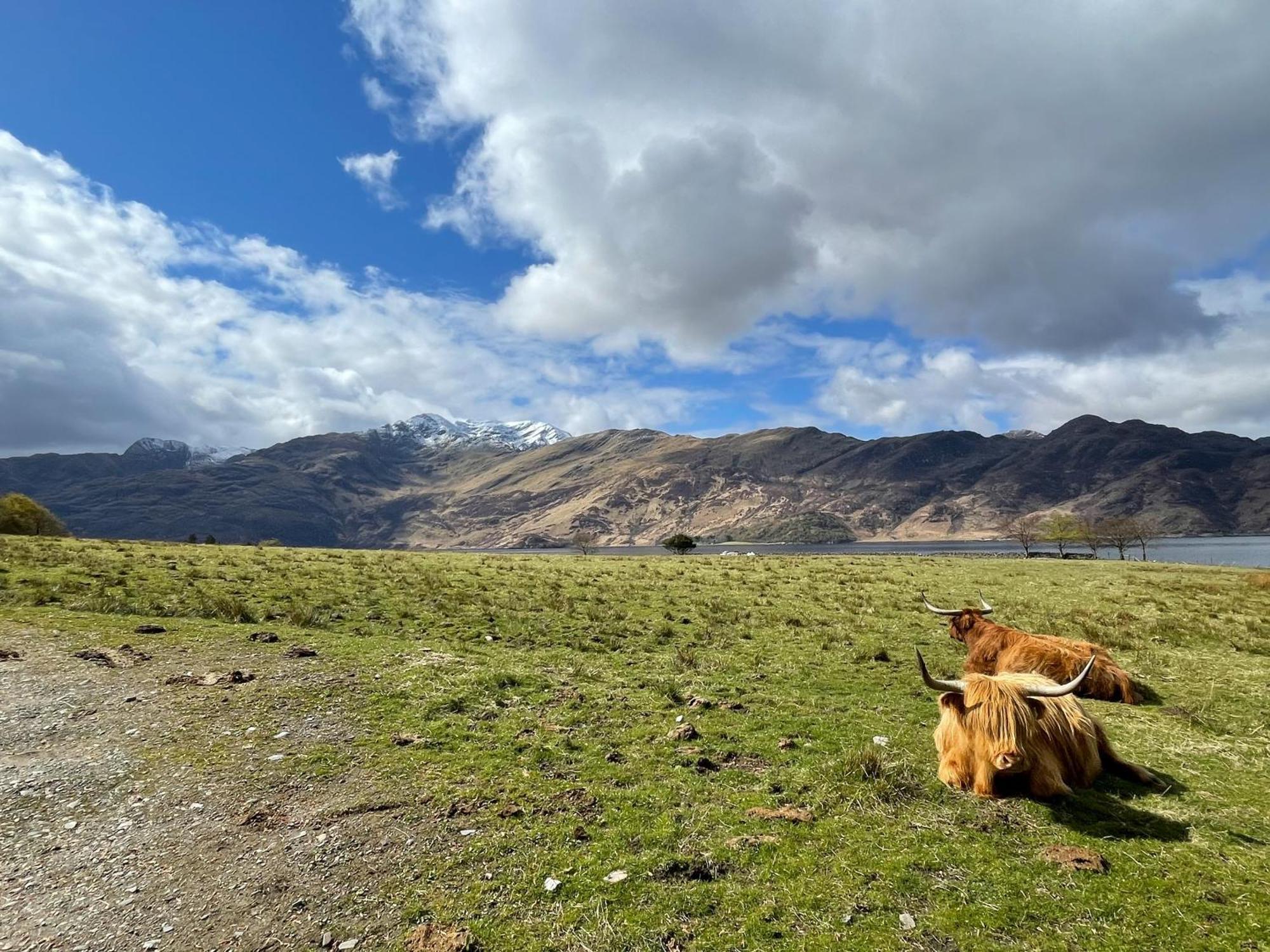 Sheenas Butnben Arnisdale Dış mekan fotoğraf